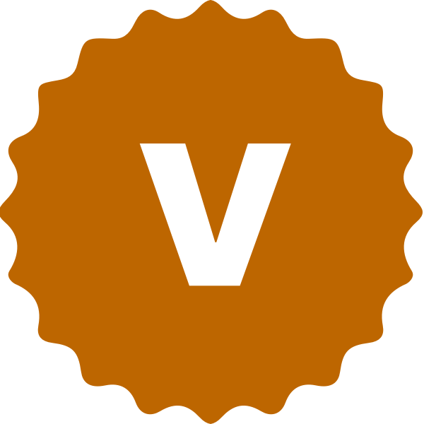 徽章-开发者认证-E5交流社区